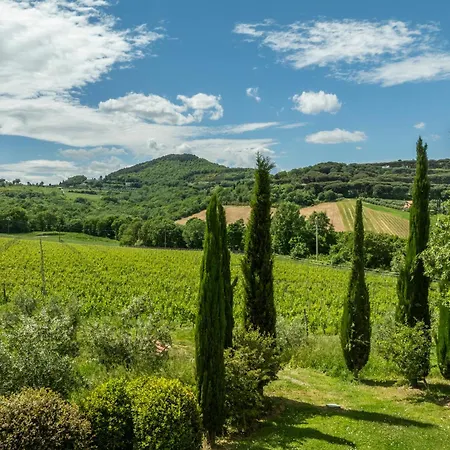 Podere Monti Montepulciano